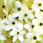 Ready To Go Wholesale Centerpieces Card