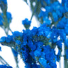 Statice Flower Jewel Blue Tinted