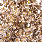 Ready To Go Wholesale Centerpieces Card