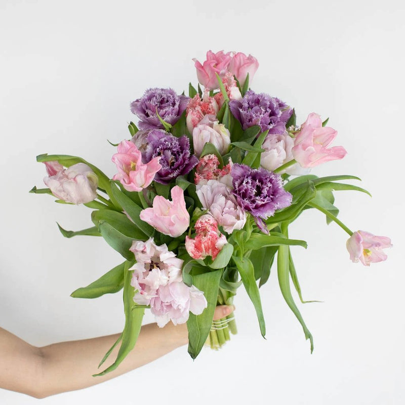 White Tulip Bouquet Flower in Hand