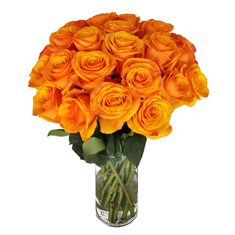 Tycoon Orange Rose