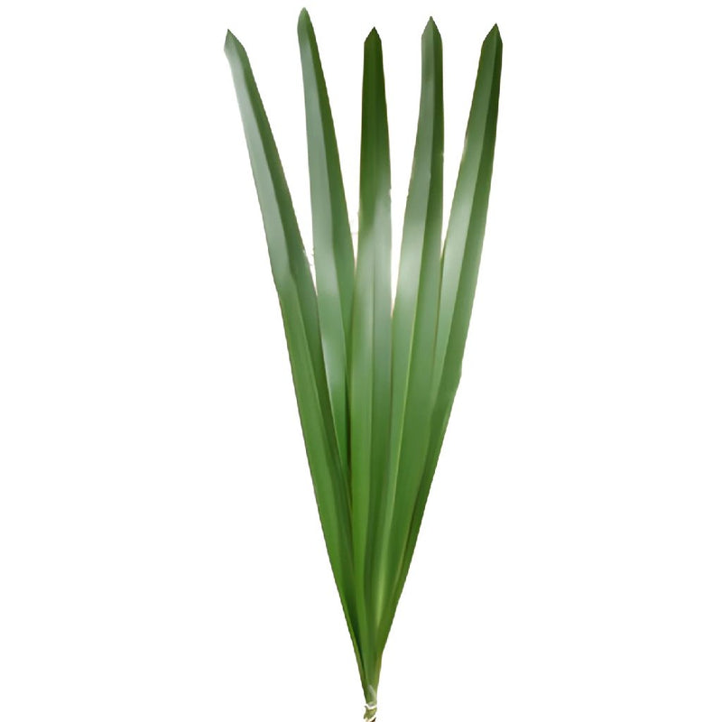 Green Flax Filler