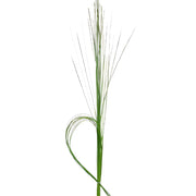 Ready To Go Wholesale Centerpieces Card