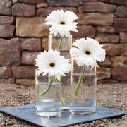Ready To Go Wholesale Centerpieces Card