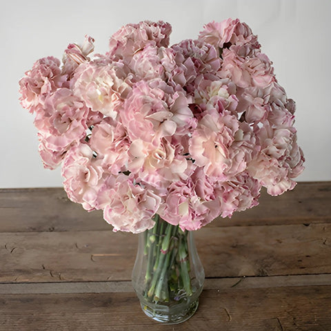 Vintage Pink Carnation flower bunch in a vase