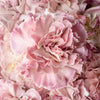 Vintage Pink Wedding Flower Carnation
