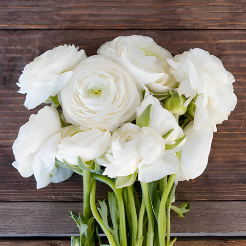 Save the Ranunculus Wild Flowers