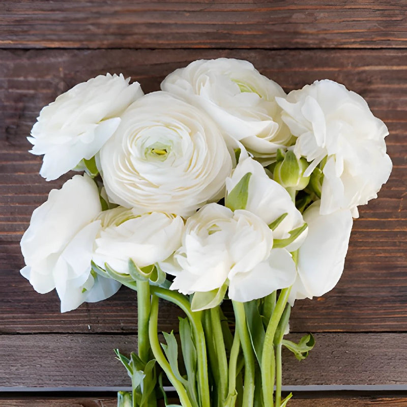Save the Ranunculus Wild Flowers
