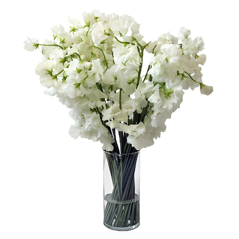 White Designer Japanese Sweet Peas