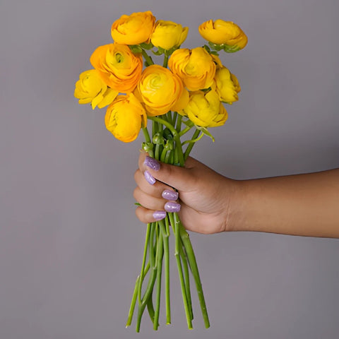 Save the Ranunculus Wild Flowers