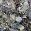 Silver Wedding Anniversary Airbrushed Hydrangea
