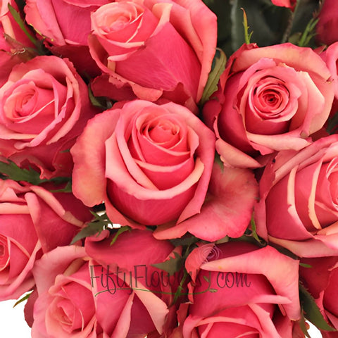 Antique Pink Murano Roses Up Close