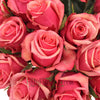 Antique Pink Murano Rose