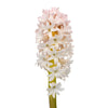 Hyacinth Blush Flower