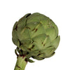 Floral Grade Wholesale Artichokes