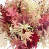Assorted Astilbe Flower November to April