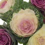 Ready To Go Wholesale Centerpieces Card