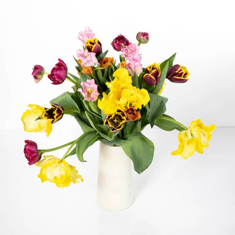 Assorted Tulip Bouquet Flower Bunch in Vase