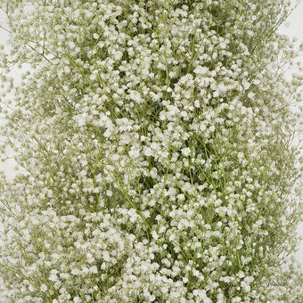 Baby's Breath Garland