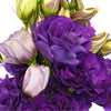 Hues of Purple Designer Lisianthus Flower