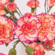 Ready To Go Wholesale Centerpieces Card