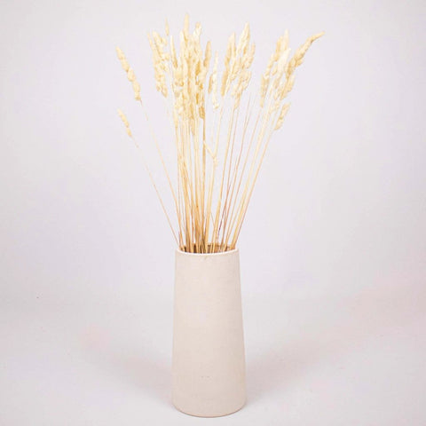 Bleached Dried Orchad Flower Bunch in Vase