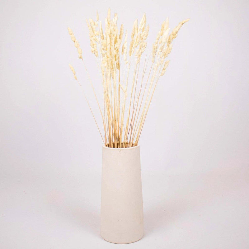 Bleached Dried Orchad Flower Bunch in Vase