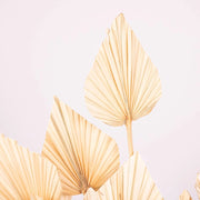 Ready To Go Wholesale Centerpieces Card
