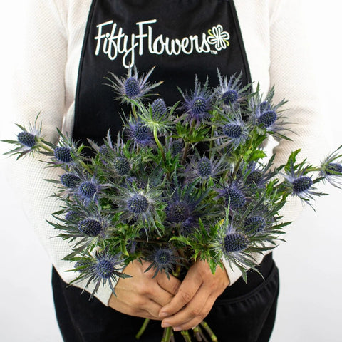 Blue Thistle Flower Bunch in Hand