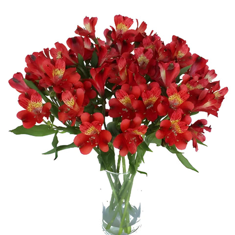 Brick Red Peruvian Lilies Vase - Image