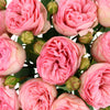 Peony Rose Bridal Piano