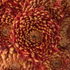 Bronze Football Mum Flower