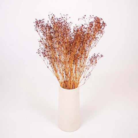 Brown Dried Babys Breath Flower Bunch in Vase