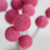 Bubble Gum Pink Bulk Billy Balls