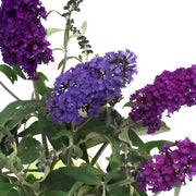 Ready To Go Wholesale Centerpieces Card