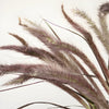 Bulk Fountain Grass