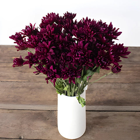 Burgundy pom for free flower delivery