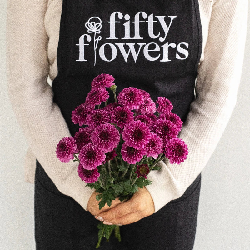 Burgundy Purple Micro Pom Cushion Apron - Image