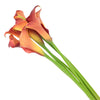 Sunset Orange Mini Calla