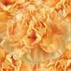 Light Orange Wholesale Carnations