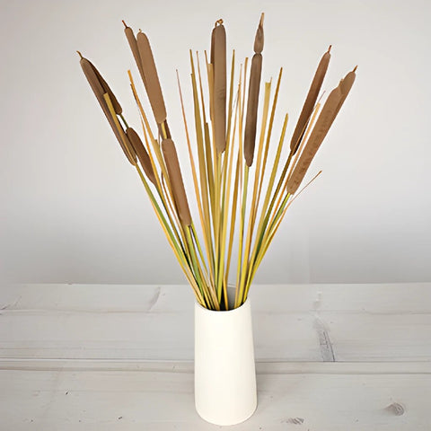 Cattail Bulk Filler Flower