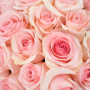 Ready To Go Wholesale Centerpieces Card