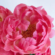 Ready To Go Wholesale Centerpieces Card