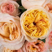 Ready To Go Wholesale Centerpieces Card
