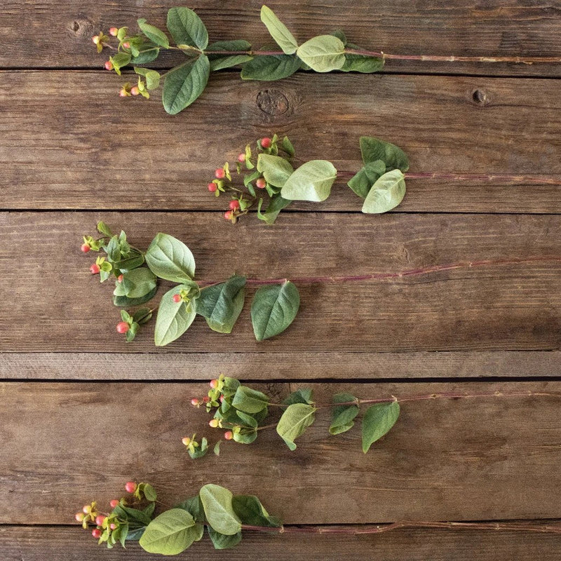 Cream and red hypericum berry bulk flowers