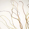 Curly Willow Branch