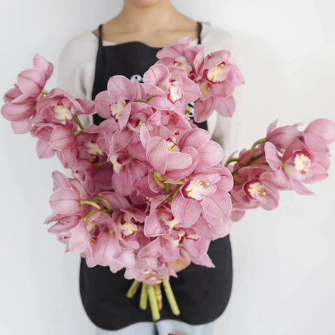 Cymbidium Orchids Hot Pink Apron - Image