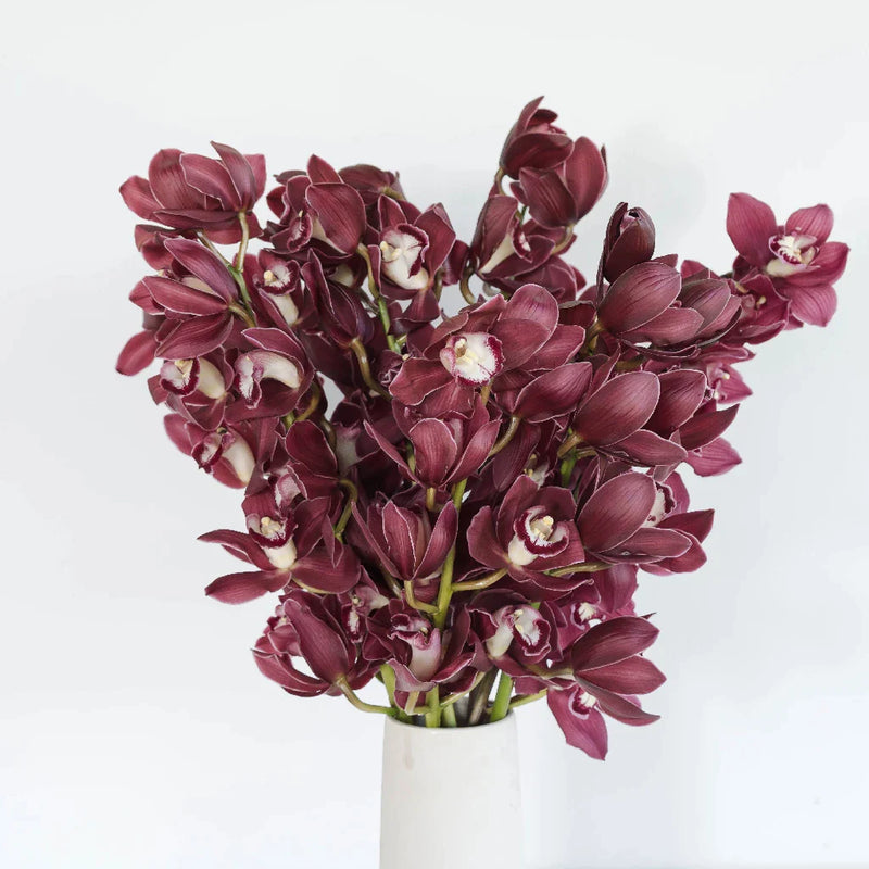 Cymbidium Orchids Merlot Pink Vase - Image