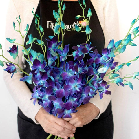 Orchids Blue Wholesale Flower Bunch in a Hand