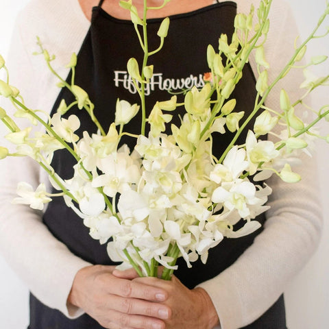 Orchids White Wholesale Flower Bunch In a Hand